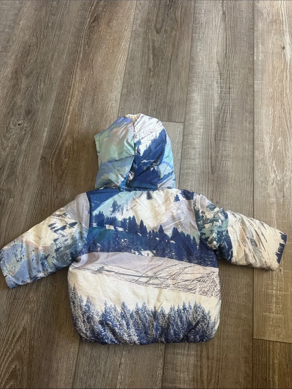 GAP Hooded Puffer Jacket in Blue Scenic Print